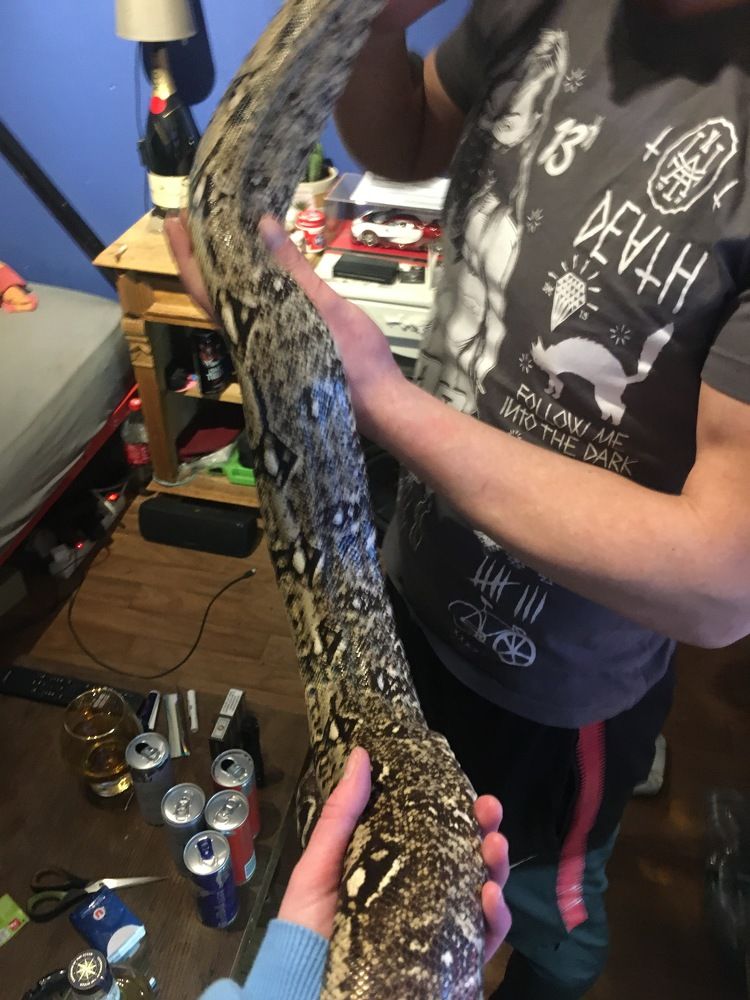 Фотография автора Ala Shalukhanskaya