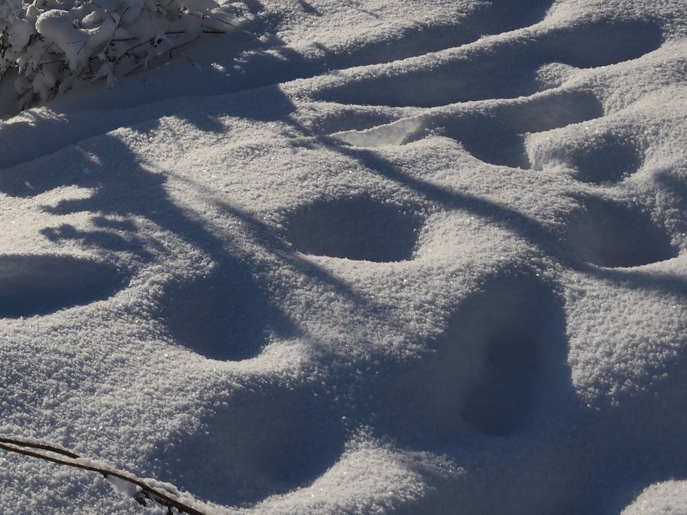 Photograph by Семен Батов