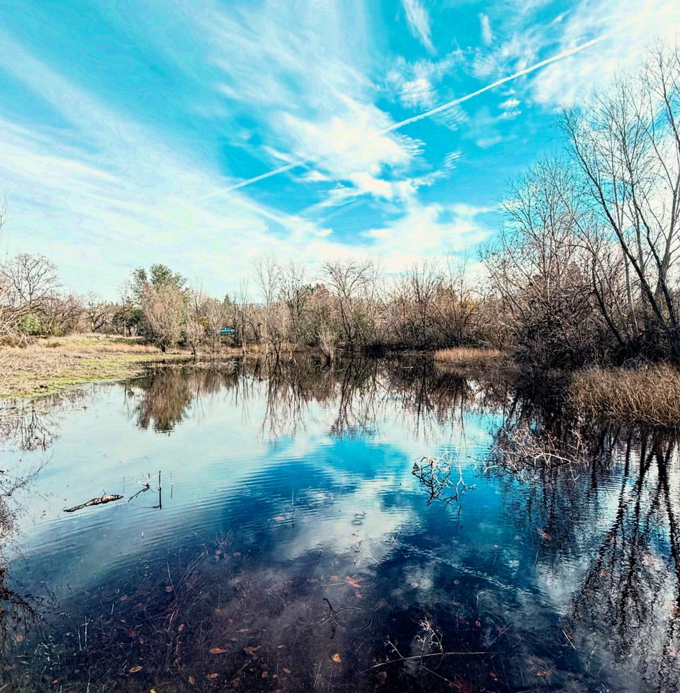 Photograph by nasim fard