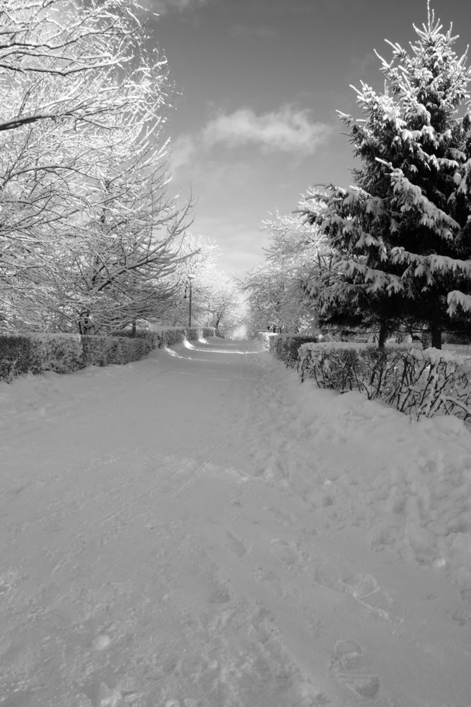 Photograph by Инна Воробьева