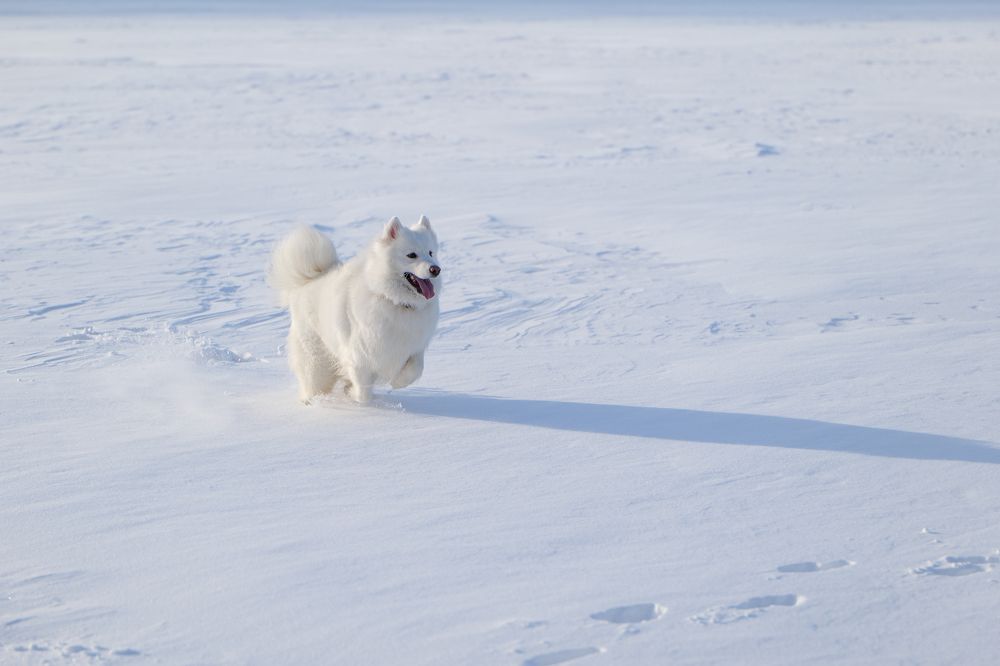 Photograph by Максим Серов