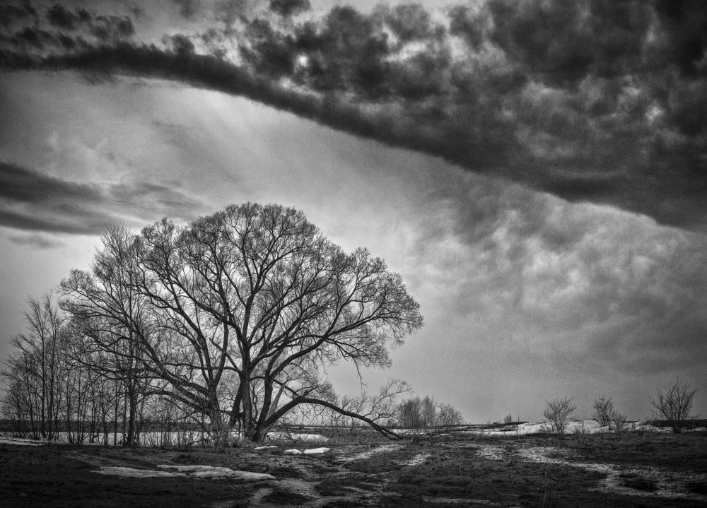 Photograph by Тамара Андреева