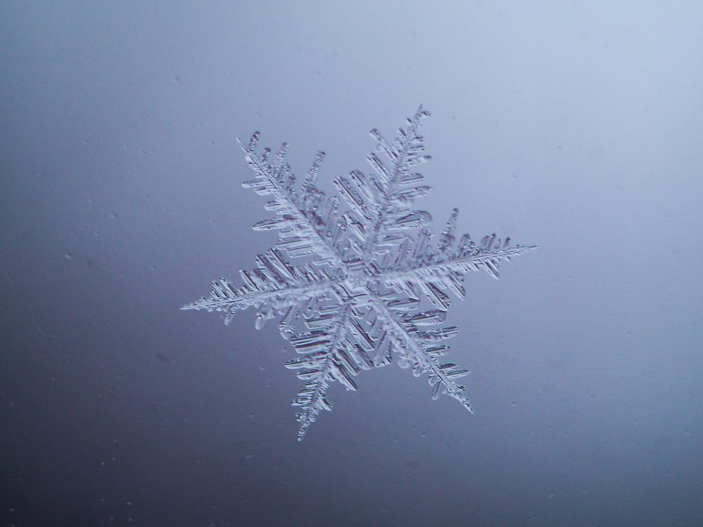 Photograph by Наталья