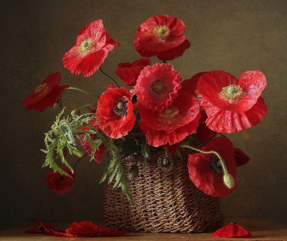 ЛЕТНЕЕ ТАНГО