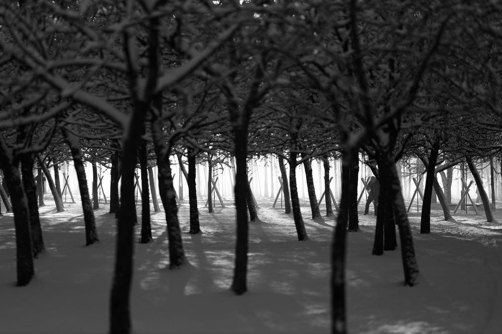 Фотография автора Станислава Гордеева