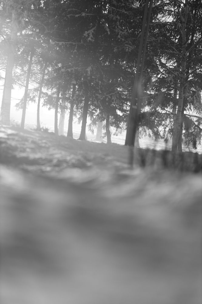 Фотография автора Станислава Гордеева