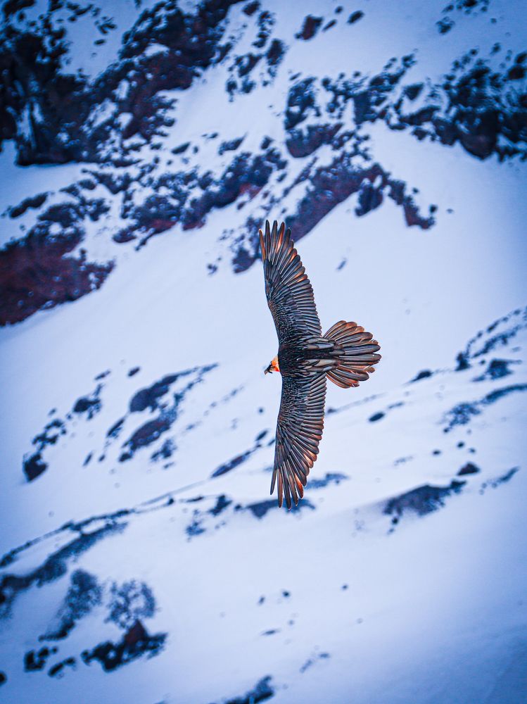 Photograph by Игорь Толкачев