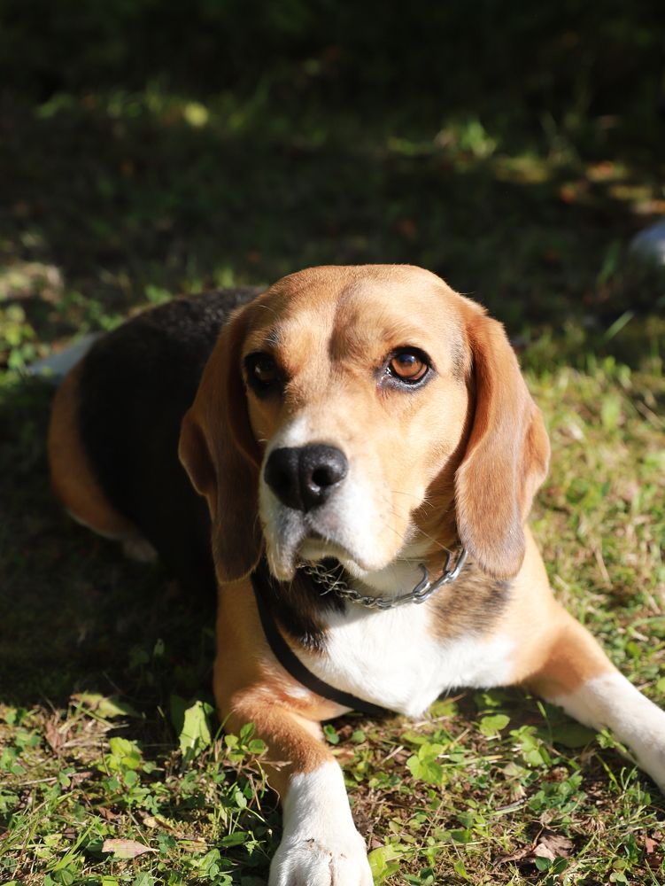 Photograph by Анна Берилло