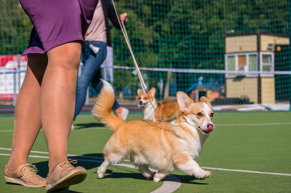 Фотография автора Марат Мурсалимов