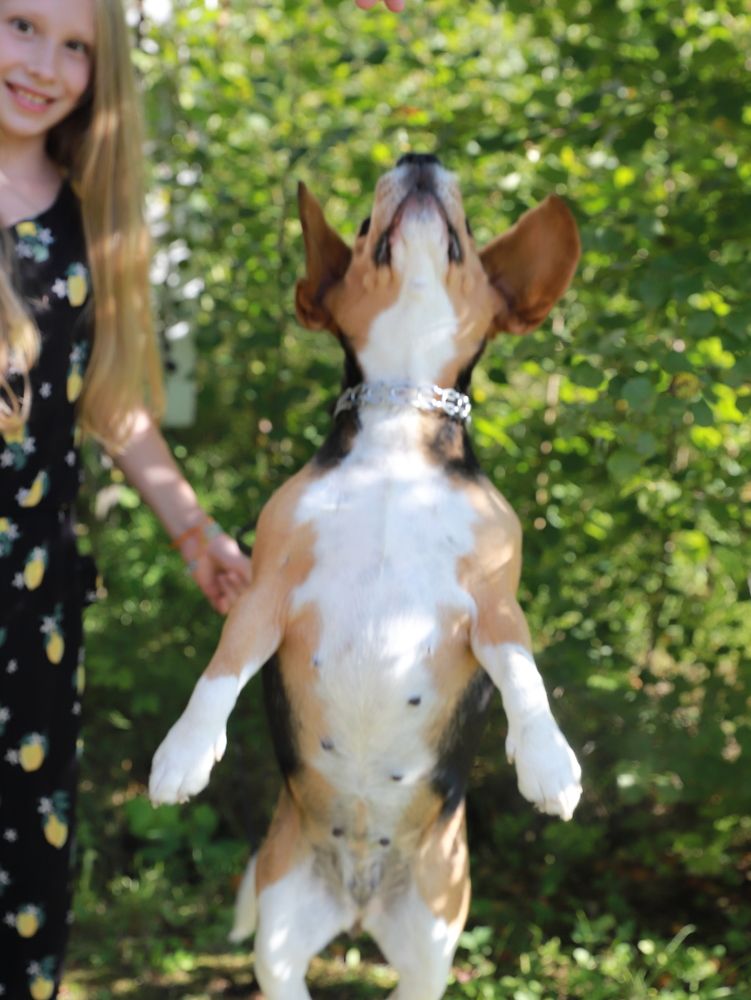 Photograph by Анна Берилло