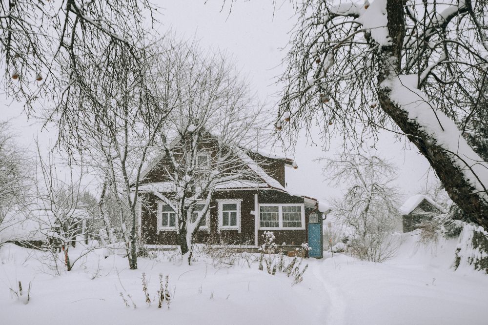 в гостях у бабушки Нади