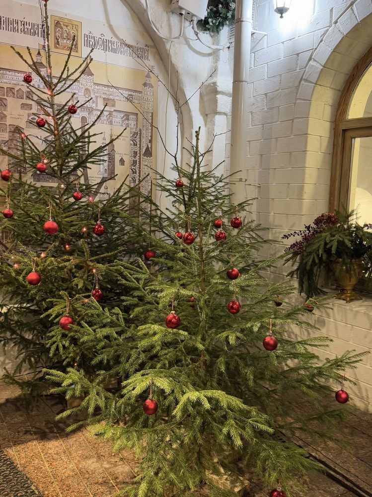 Фотография автора Ирина Бакалова