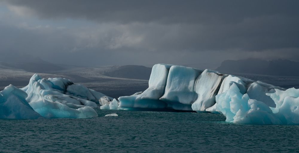 Photograph by Guy Wilson