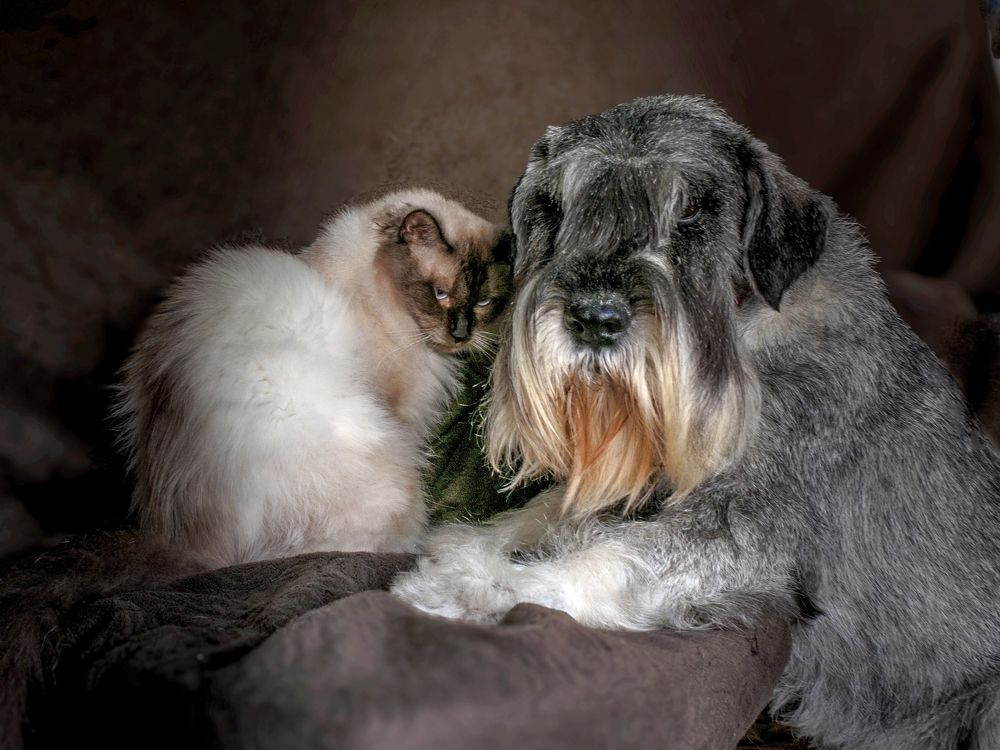 Photograph by Lev Tsenter