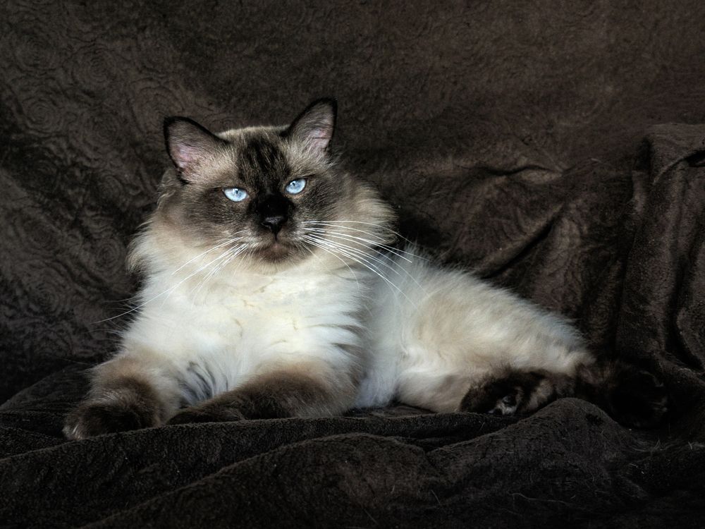 Photograph by Lev Tsenter