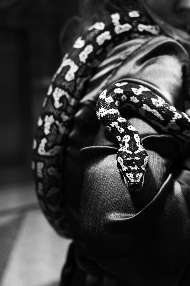 Photograph by Пережогина Светлана