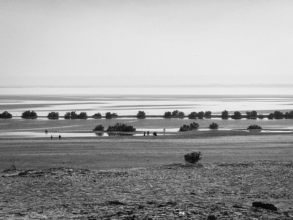 Фотография автора Sara Attia