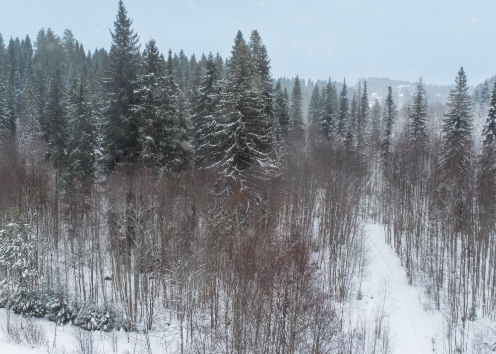 Photograph by Тамара Вотинцева