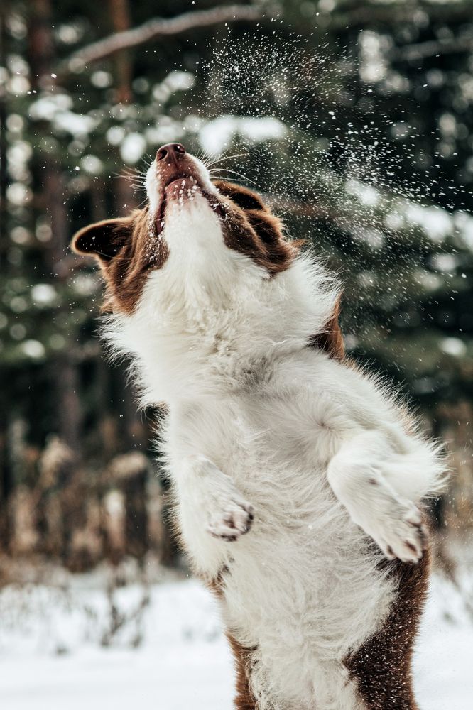 Photograph by Альбина Сагитова