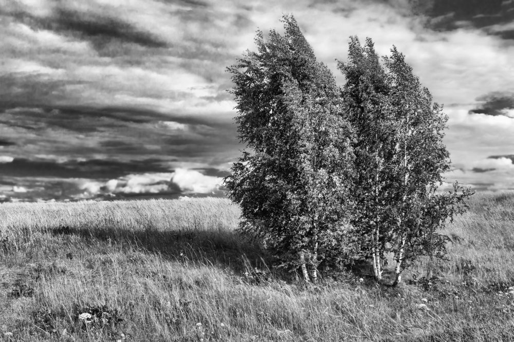 Photograph by Анатолий Костерев