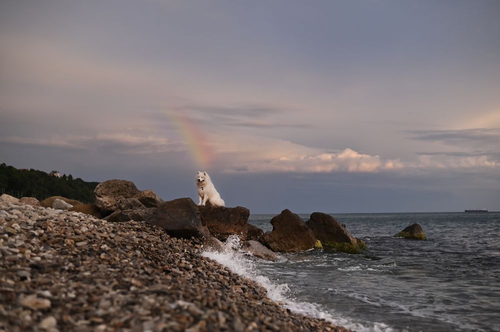 Photograph by Полина