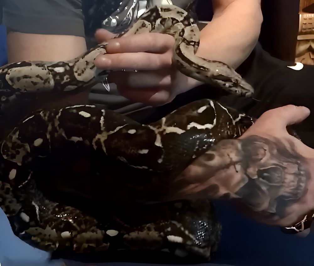 Фотография автора Ala Shalukhanskaya