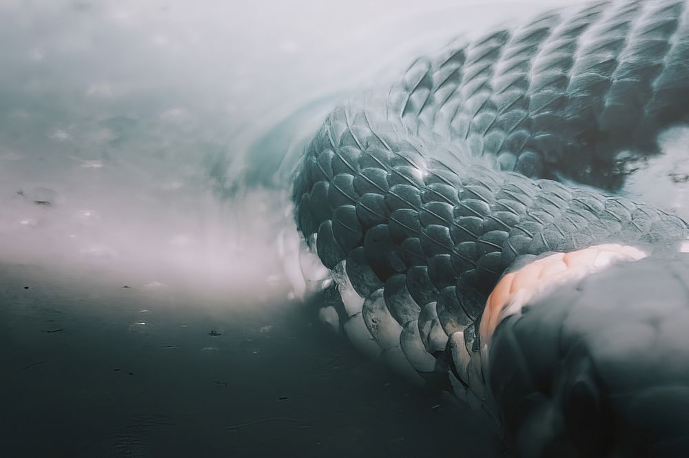 Photograph by Маргарита Смоленская