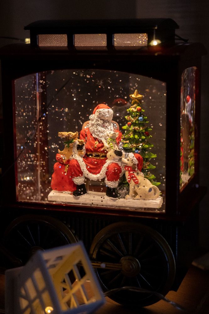 Photograph by Алёна Маринина