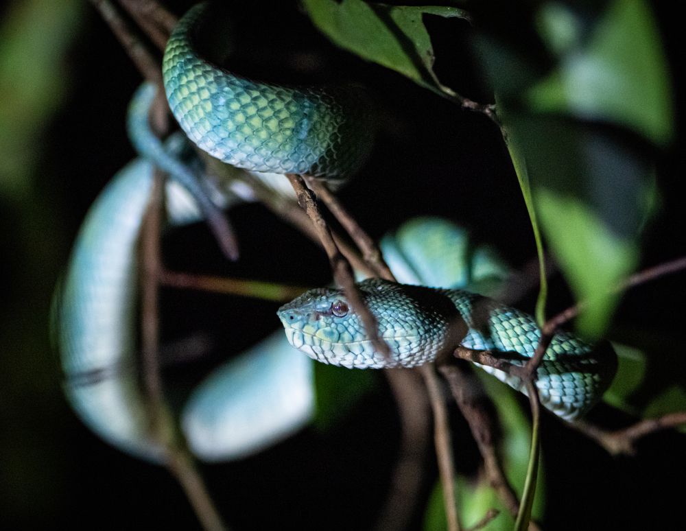 Photograph by Катя Катюнина