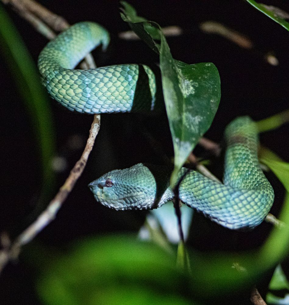 Photograph by Катя Катюнина