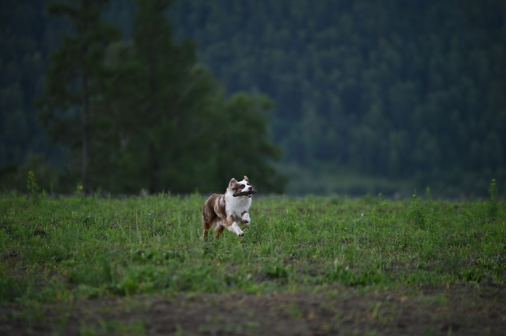 Photograph by Полина