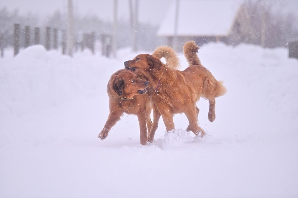 Photograph by Полина