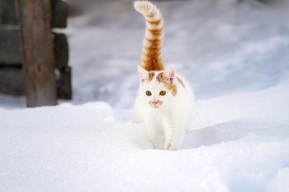 Photograph by Людмила Бандурина