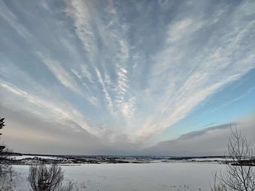 Photo #11593823