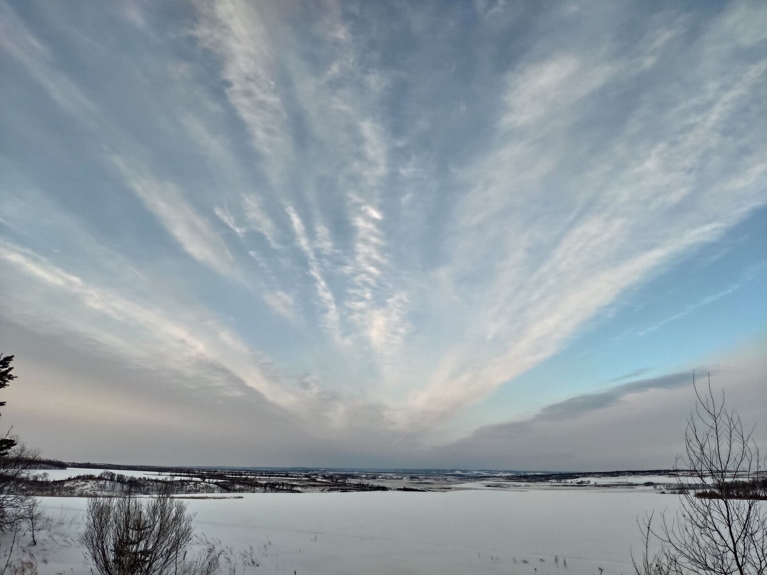 Photo #11593823