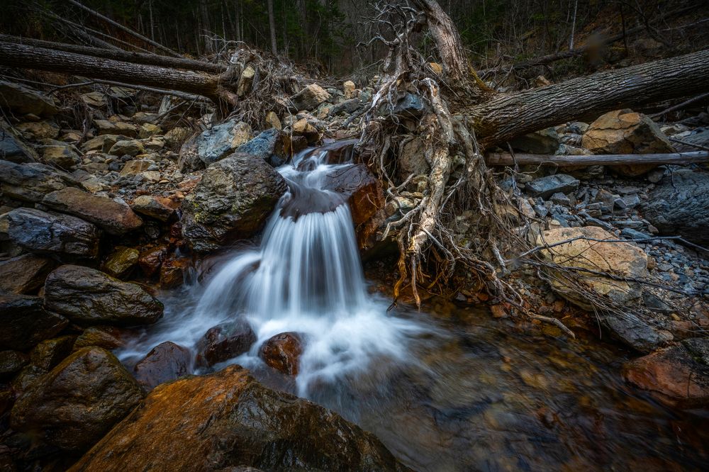 Photograph by Ольга Мусиенко