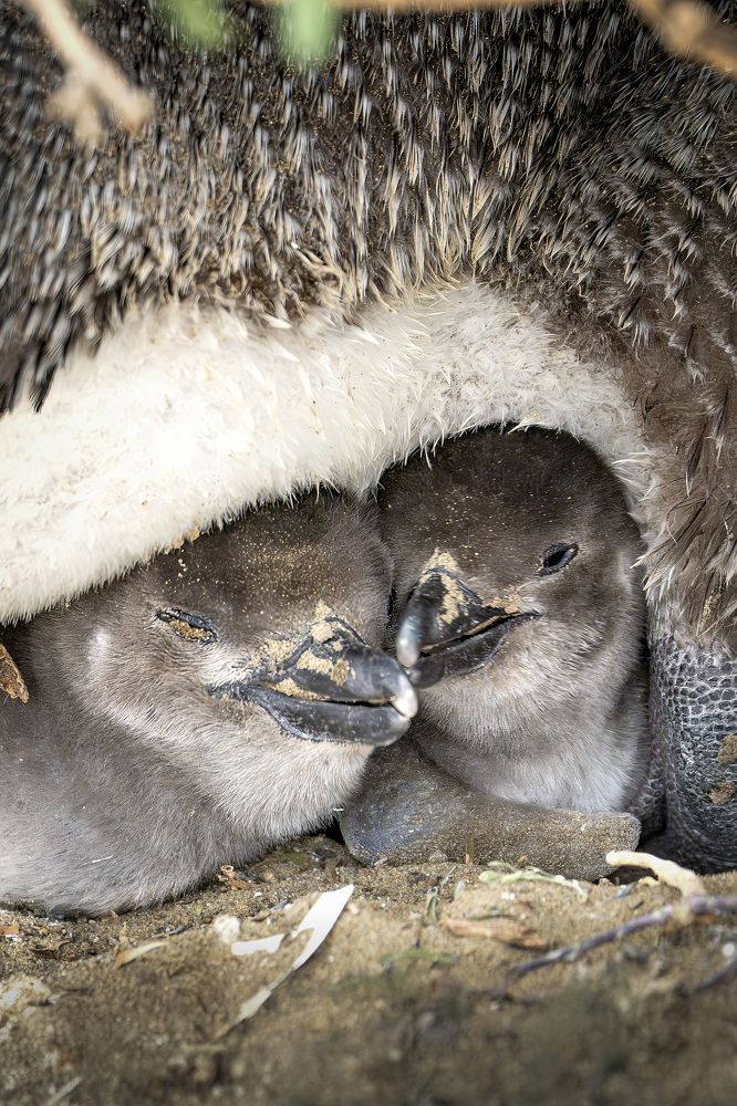 Фотография автора Edgardo Cardenas
