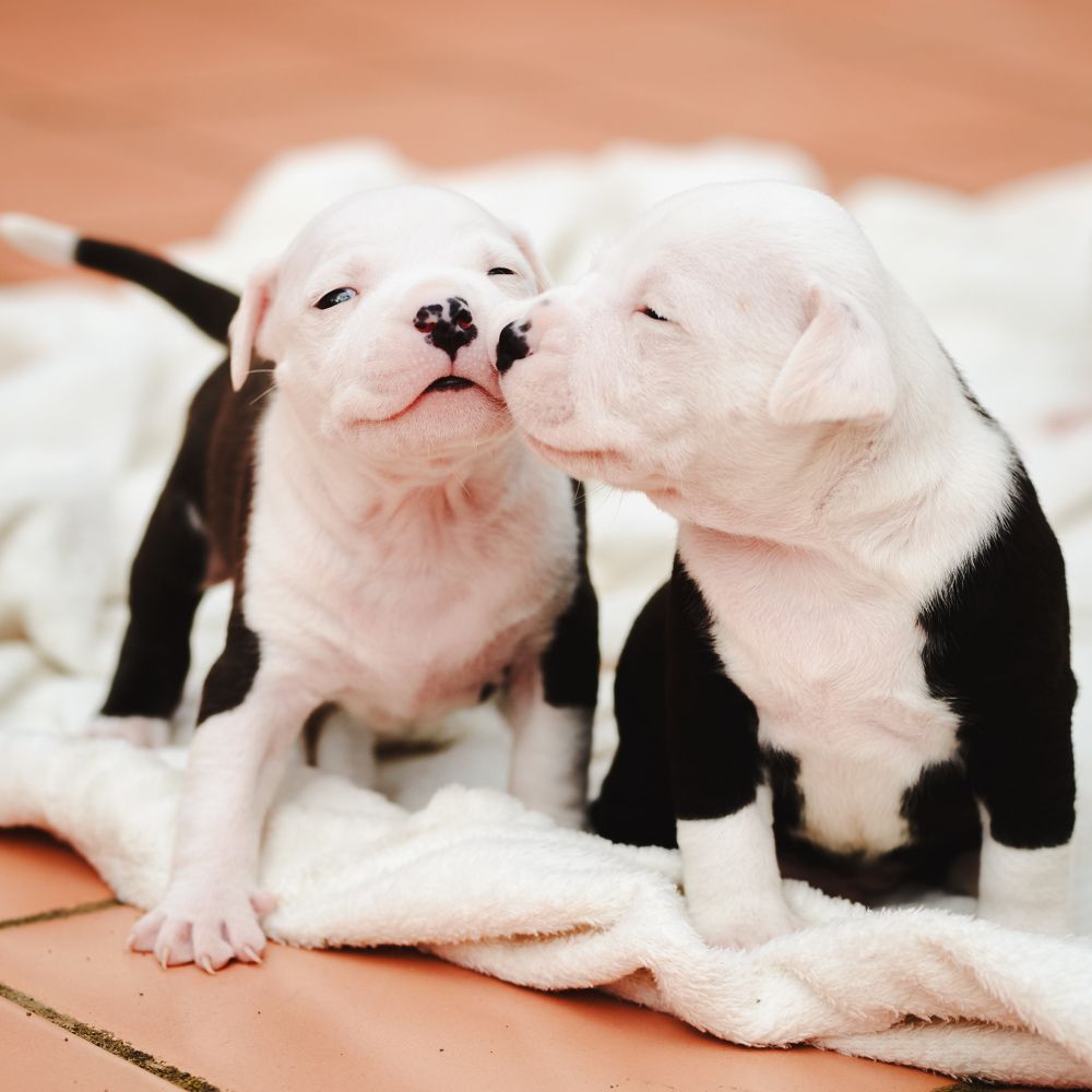 Photograph by Feli Elena