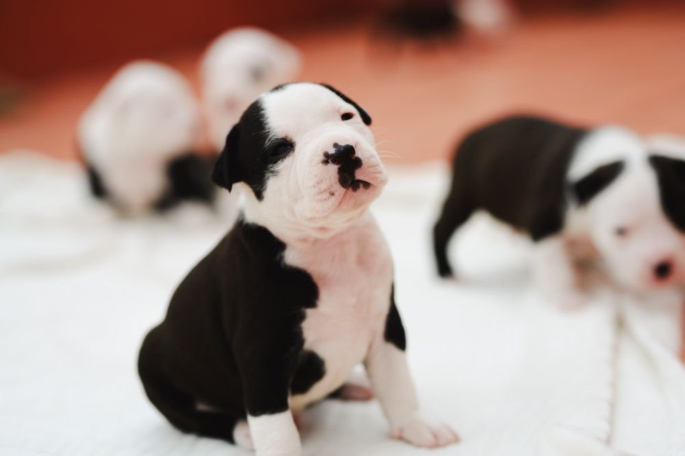 Photograph by Feli Elena