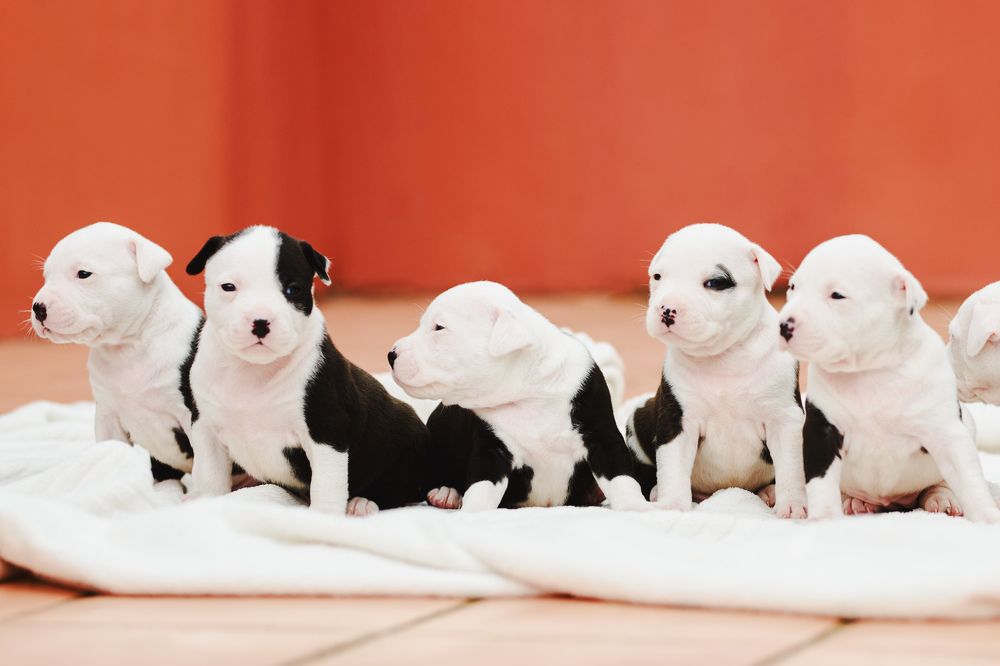 Photograph by Feli Elena