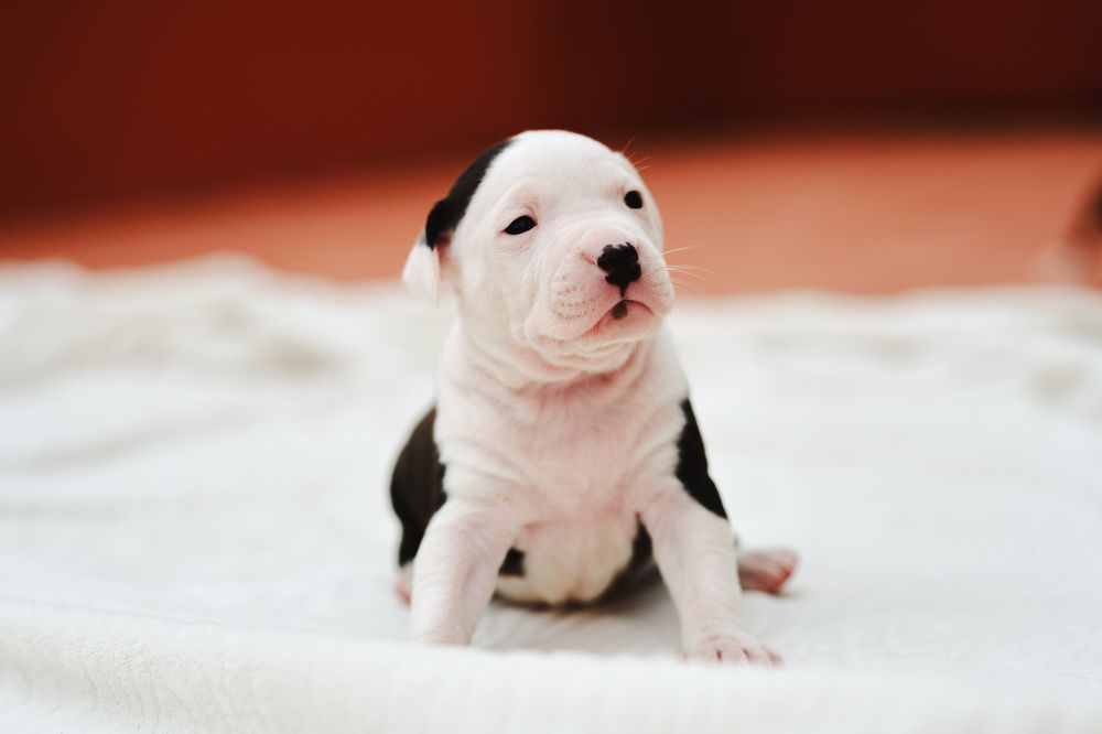 Photograph by Feli Elena