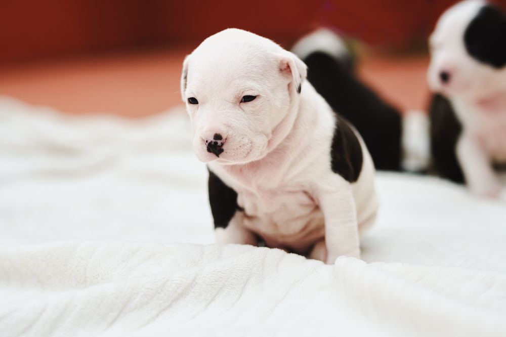 Photograph by Feli Elena