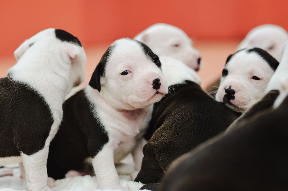 Photograph by Feli Elena