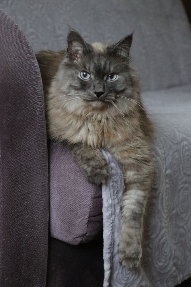 Photograph by Инна Шикуева