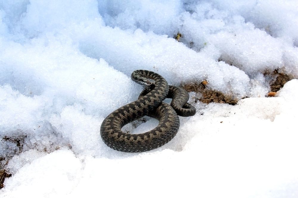 Photograph by Olga Bagaeva