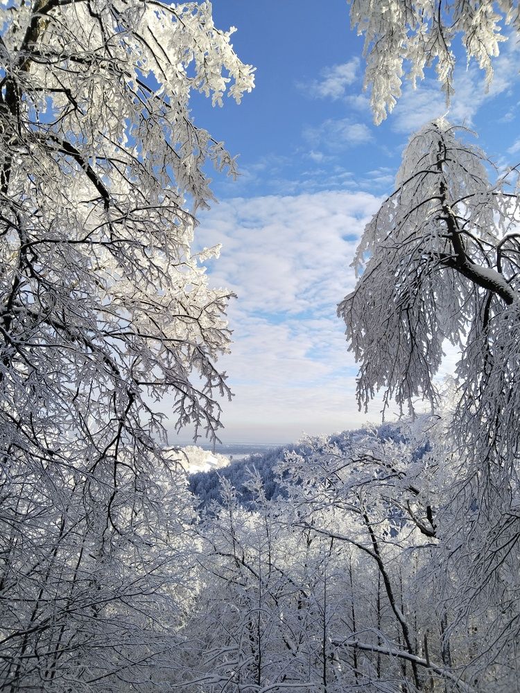 Photograph by Ольга Чернова