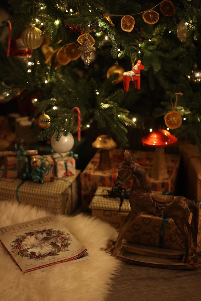 Photograph by Ekaterina Andreassen