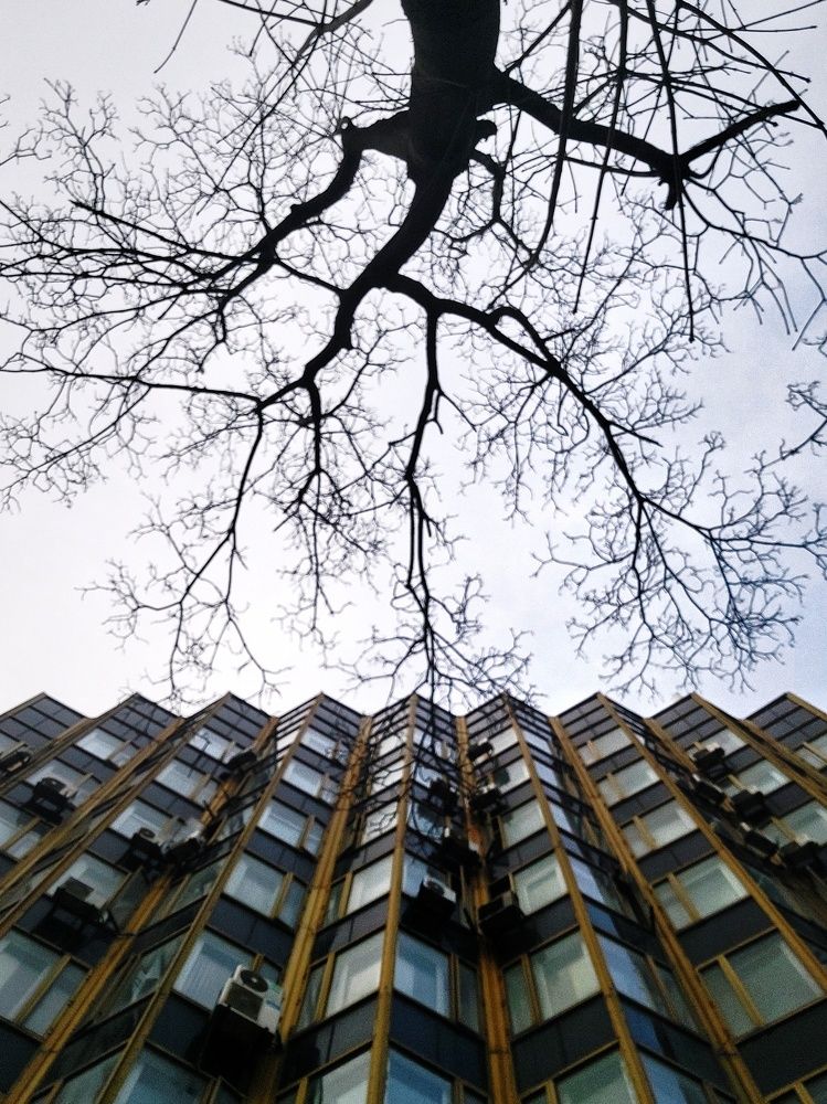 Photograph by Александр Лопатин