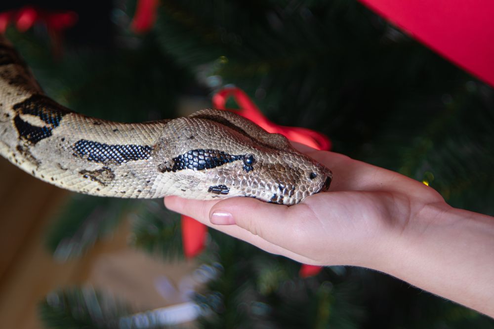 Photograph by Николай Владимирович