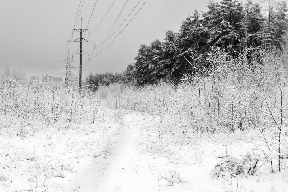 Photograph by Дмитрий Тимин